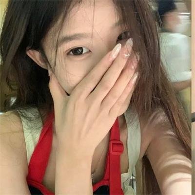燕子盗